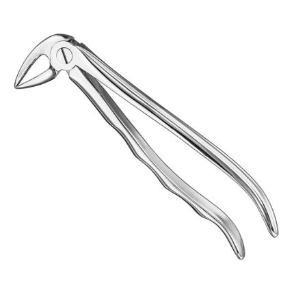 Extracting forceps, anat.