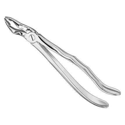 Extracting forceps, anat.