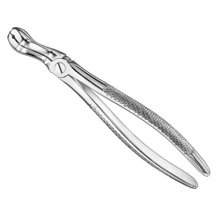 FELSCH, extracting forceps